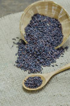 raw purple Riceberry rice in bamboo basket with wooden spoon