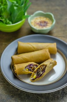 Fried Chinese Traditional Spring rolls food, asian cuisine