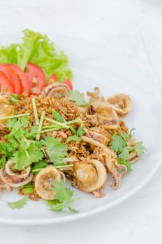 Calamari, deep fried squid with garlic , served with fresh vegetables on dish