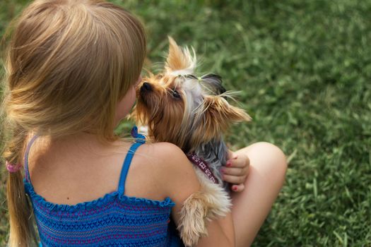 Girl 6 years old on  grass playing with a Yorkshire Terrier