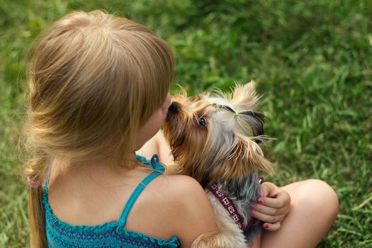 Girl 6 years old on the grass playing with a Yorkshire Terrier