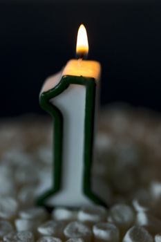 First Birthday Candle Burning. The number one.