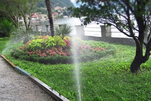 View of flowers on Lake Como in Varenna, Italy