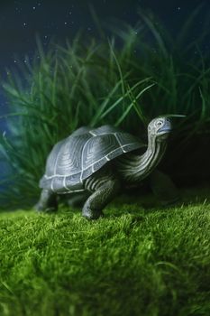 Toy turtle walking on grass at night