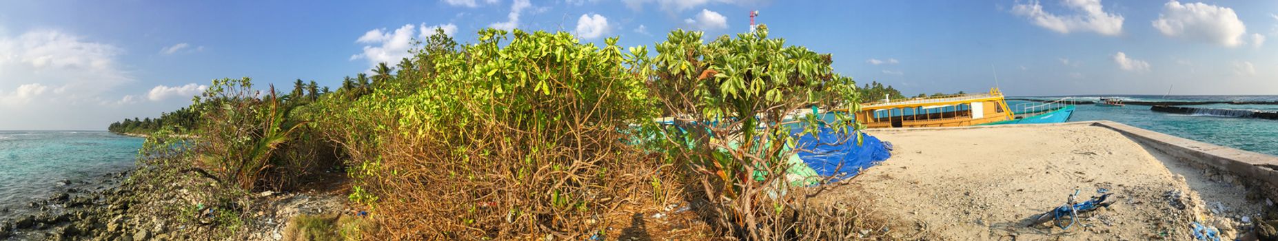 Vegetation of Maldive Islands.