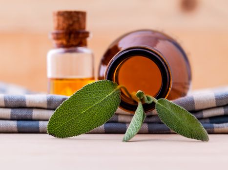 Natural Spa Ingredients sage essential oil for aromatherapy with sage leaf on wooden background.