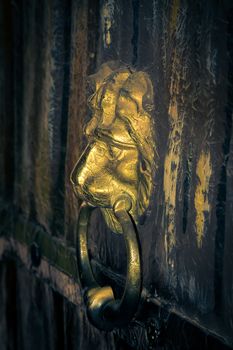 Knocker in the shape of a lion's head on golden antique door
