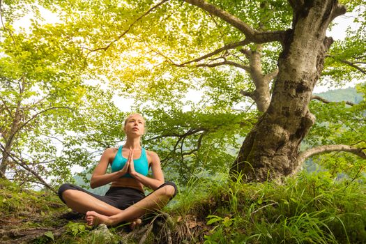 Relaxed woman enjoying freedom and life in beautiful natural environment. Blissful girl feeling relaxed, free and happy. Concept of freedom, happiness, enjoyment and natural balance.