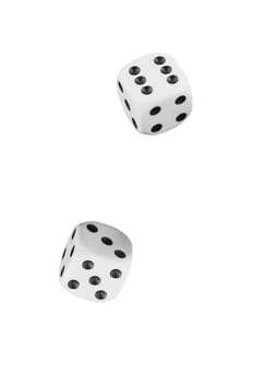 two white dices on white background