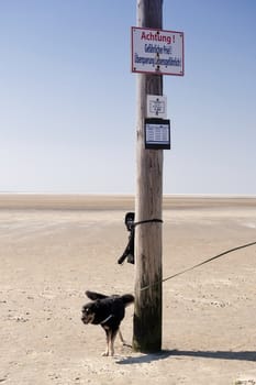 On the Beach of St. Peter-Ording in Germany