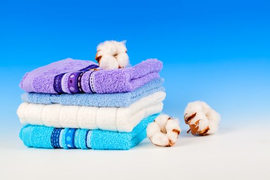 Cotton soft plant with textile, on blue background