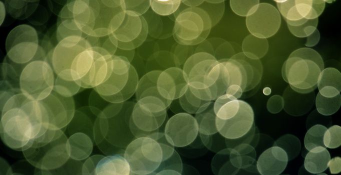 picture of a Shinig waterdrops against morning light