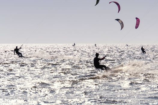 Kitesurfer in St. Peter-Ording, Germany