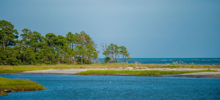 nature scenes around hunting island south carolina