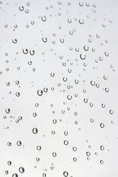 Drops of rain on the window (glass). Shallow DOF. 