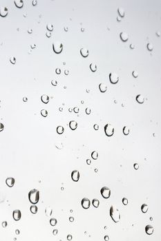 Drops of rain on the window (glass). Shallow DOF. 