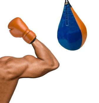 Boxer muscular