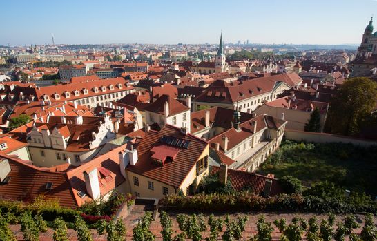 view of Prague city from hill

