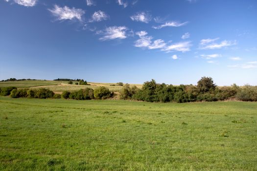 rural summer landscape in czech Republic - region Vysocina