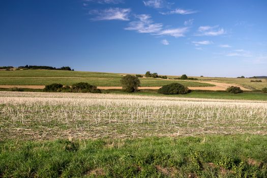 rural summer landscape in czech Republic - region Vysocina