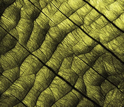abstract background or texture black grid