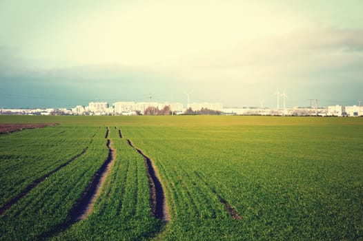 Green field with fresh grass and agglomeration in the distance. Vintage instagram stylized picture.