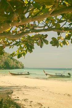 Longtail boats on the beautiful beach, Thailand