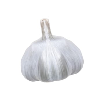 Garlic isolated on white