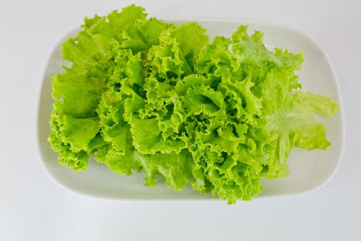 Fresh green lettuce isolated on a white background