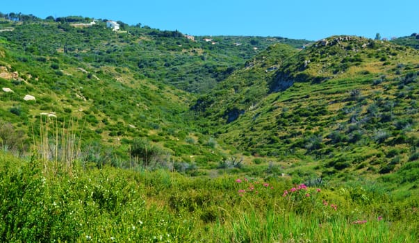 Peaceful Greek countryside, close to katelios on the beautiful Island of Kefalonia.