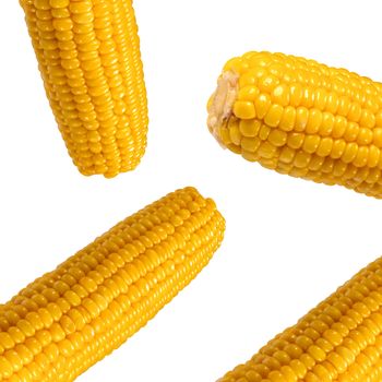 Sweet Corns isolated On White Background