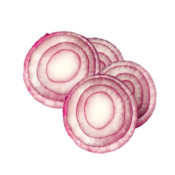 Sliced fresh red onion isolated