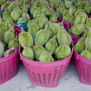 durian in the basket ready to sell