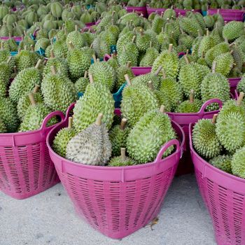 durian in the basket ready to sell