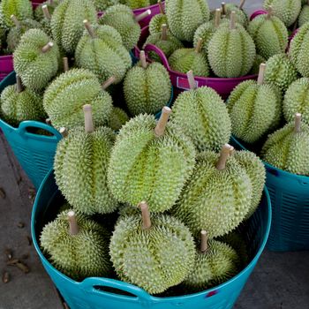 durian in the basket ready to sell