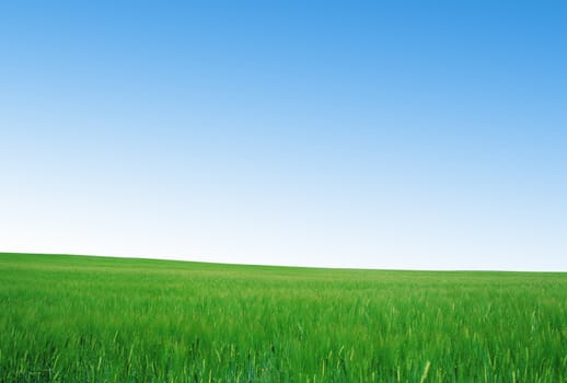 green field and blue sky