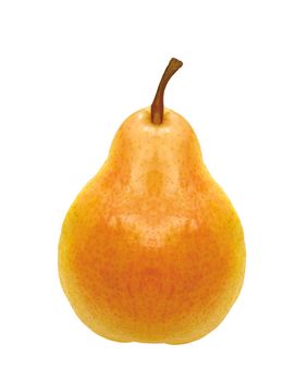 fresh pear