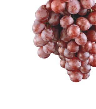 close up of red grape isolated on white