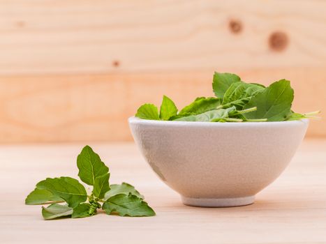 Alternative medicine fresh holy basil leaves on wooden background.