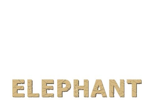 illustration texture llephant in the text