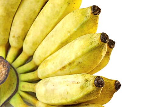 Pisang Awak banana, Kluai Nam Wa, Cultivate banana on isolate white background