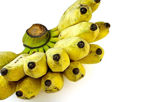 Pisang Awak banana, Kluai Nam Wa, Cultivate banana on white background