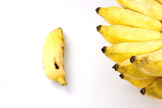Pisang Awak banana, Kluai Nam Wa, Cultivate banana on white background