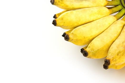 Pisang Awak banana, Kluai Nam Wa, Cultivate banana on white background