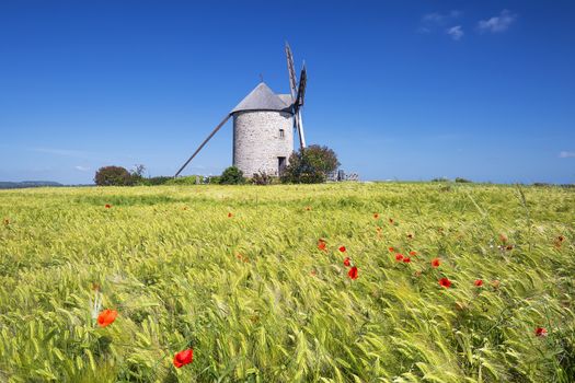 View of Windmill and wheat field, France, Europe.