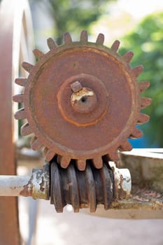 Old gear and worm (worm gear)