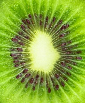 Close up of kiwi slice isolated over white background