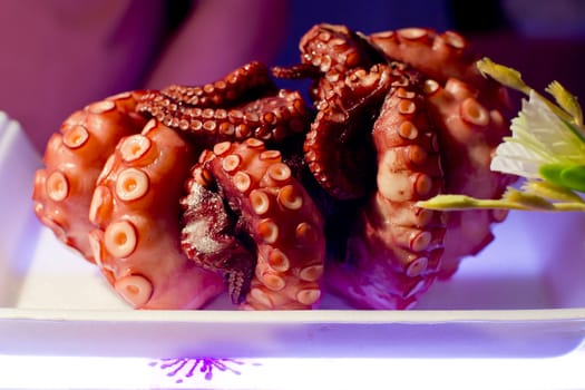 Freshly cooked purple octopus