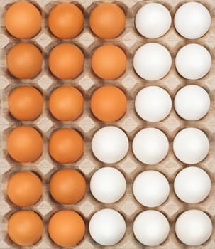 twenty four of white eggs in box