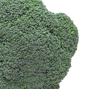 Broccoli isolated on white background